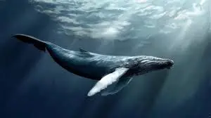 چالش «نهنگ آبی» تمام شد؟