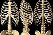 بی تحرکی سبب ایجاد تغییرات در وضعیت فیزیکی بدن افراد می شود