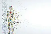 رپورتاژ دی ان ای انسان چقدر قدمت دارد؟
