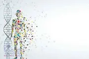 رپورتاژ دی ان ای انسان چقدر قدمت دارد؟
