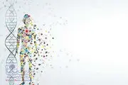 رپورتاژ دی ان ای انسان چقدر قدمت دارد؟
