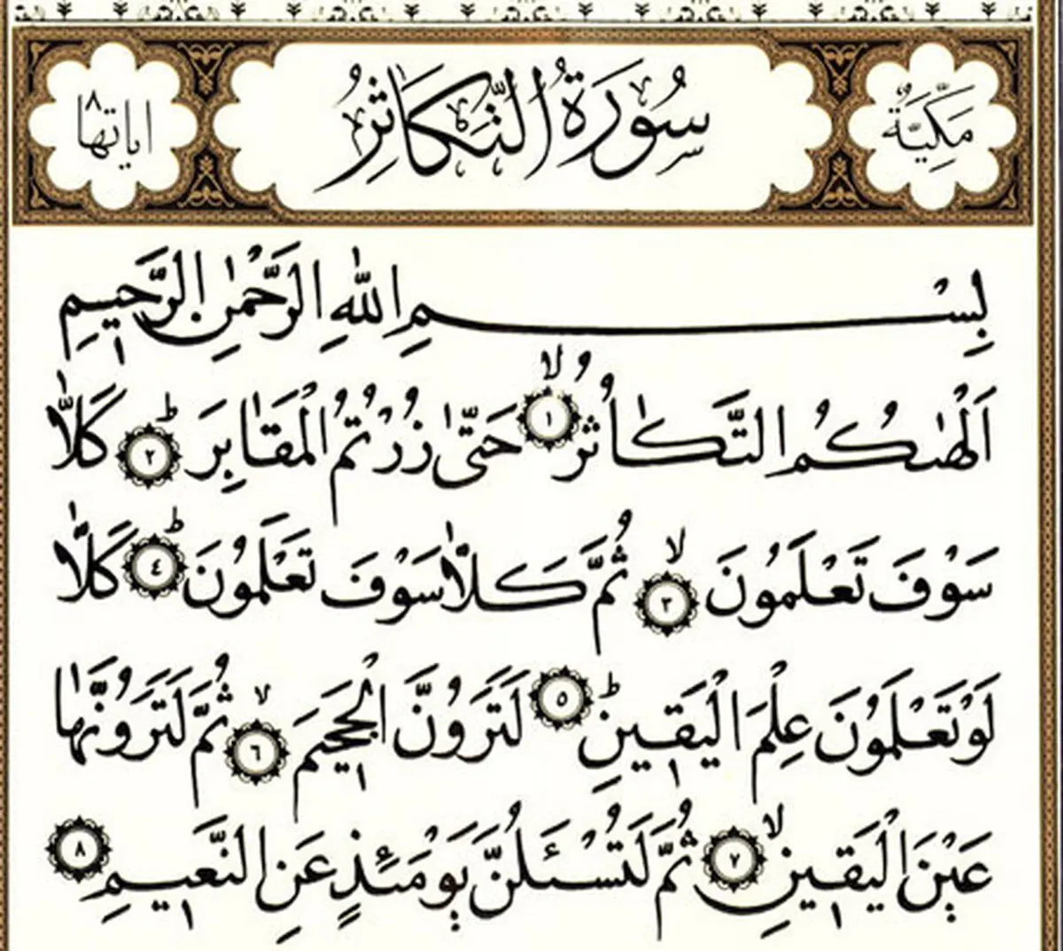 خواص سوره تکاثر قبل از خواب