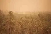 توفان با شدت۵۰کیلومتر برساعت در خوزستان