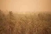 توفان با شدت۵۰کیلومتر برساعت در خوزستان