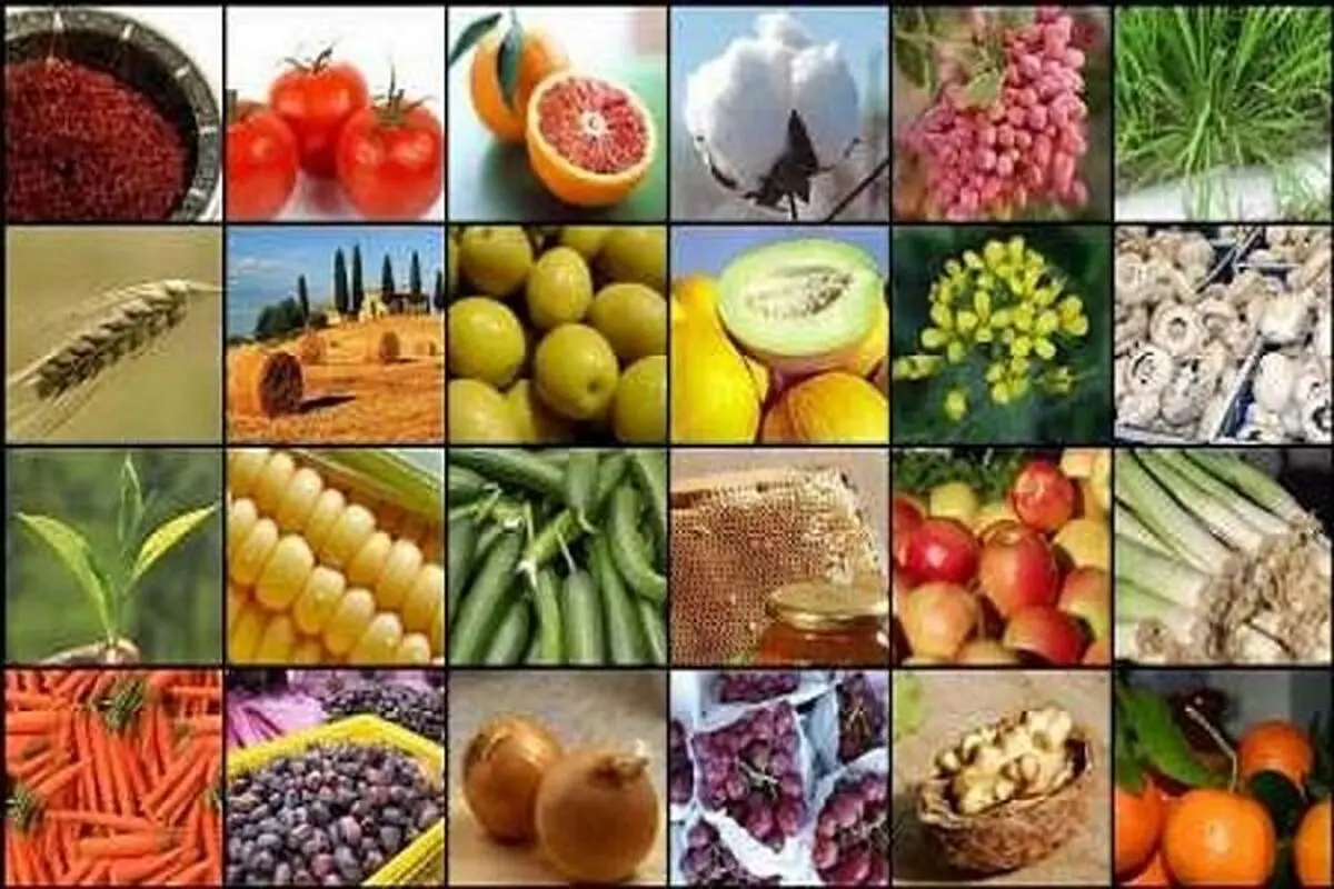 حمایت از خودکفایی به جای تهدید تولید