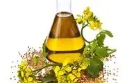 همه آنچه درباره روغن کانولا باید بدانید