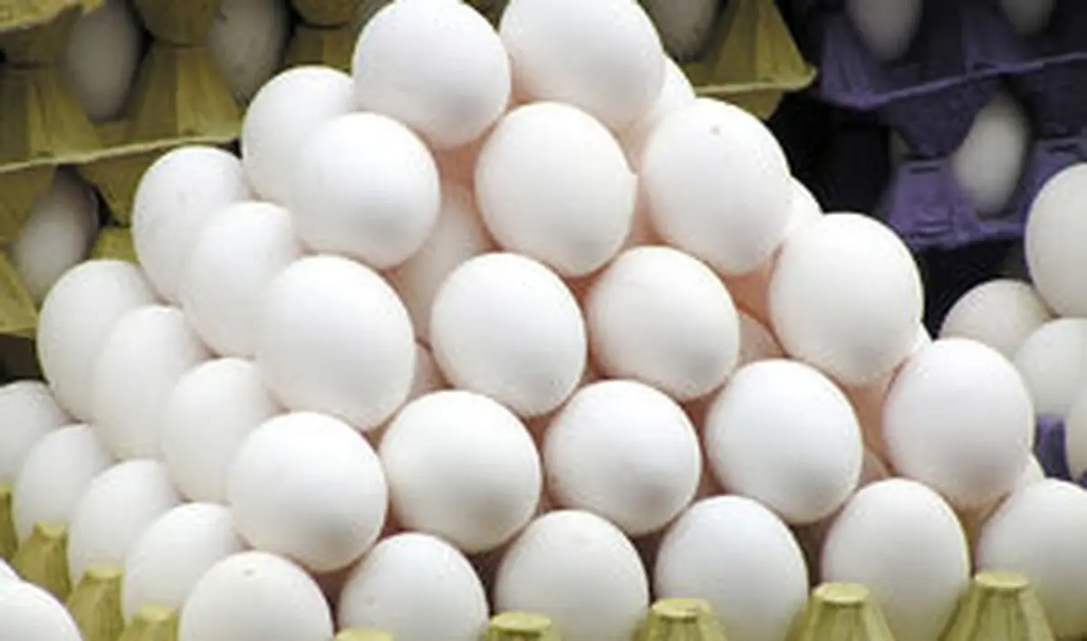 عقب‌نشینی قیمت تخم‌مرغ