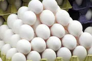 وضع عوارض جدید صادرات تخم مرغ بعد از بحران گرانی