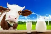 قیمت انواع شیر در بازار+ جدول
