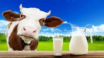 قیمت انواع شیر در بازار+ جدول

