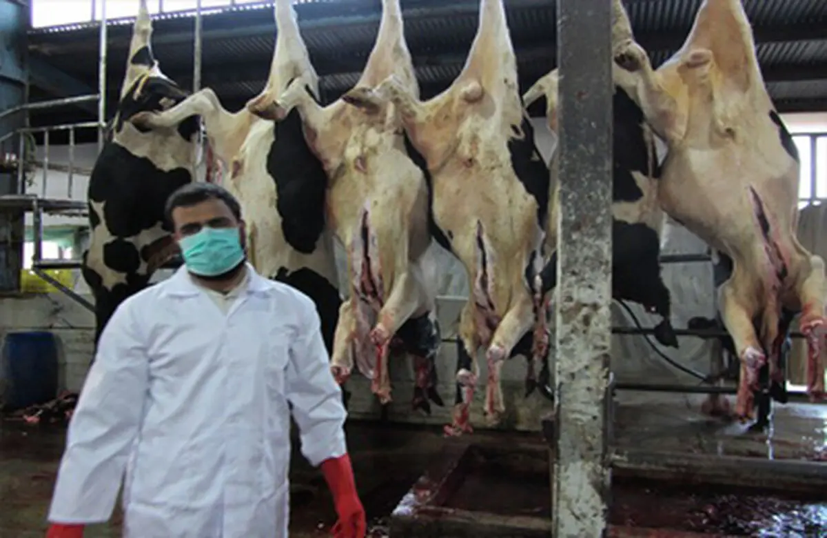 مستحبات سر بریدن حیوانات حلال گوشت