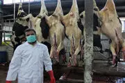 مستحبات سر بریدن حیوانات حلال گوشت