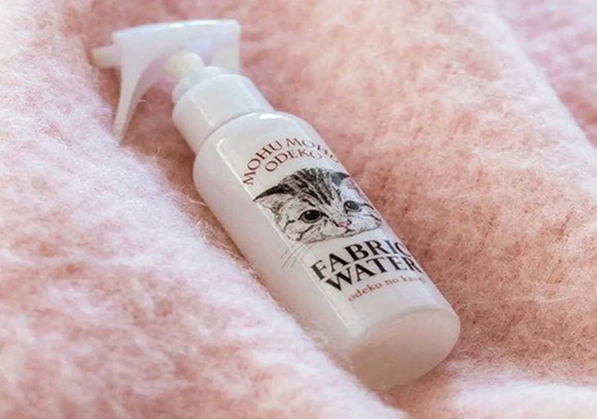 استقبال از عطرهایی با بوی گربه! + تصویر 