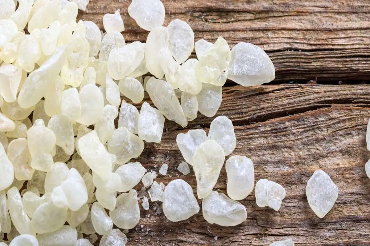 درمان یبوست با این گیاه معجزه گر