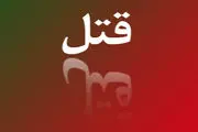 هزینه 6 میلیونی برای قتل شوهر