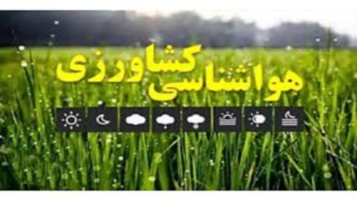 کشاورزان و دامداران هشدار بارش باران و وزش باد را جدی بگیرند
