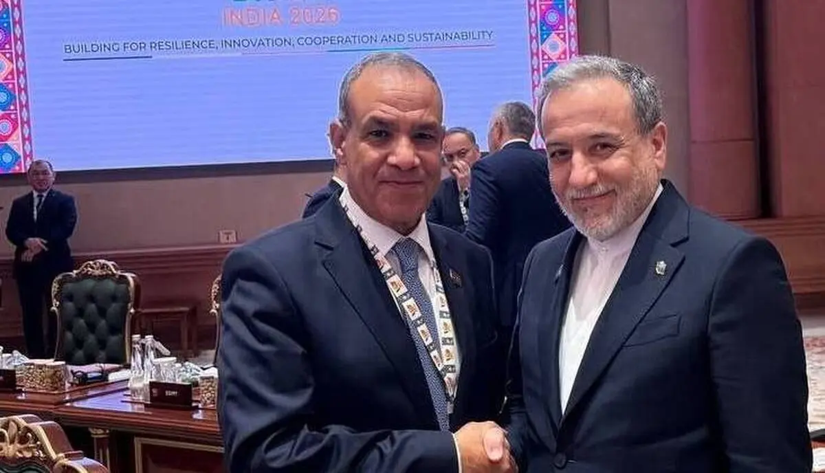 دیدار وزرای امور خارجه ایران و مصر در دهلی نو