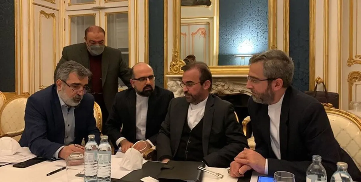 مرندی: آمریکا مخالف رفع همه تحریمهاست
