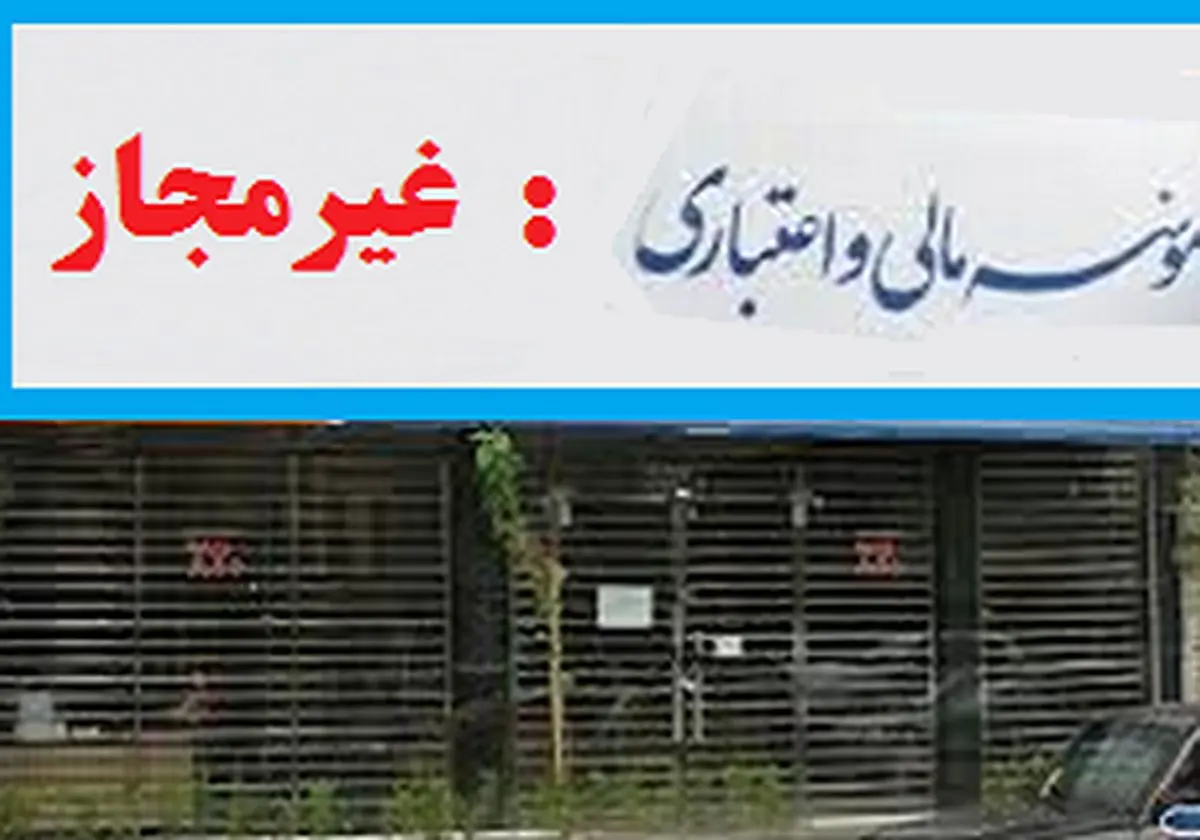 رشد قارچ گونه مؤسسات مالی در سایه بی توجهی بانک مرکزی
