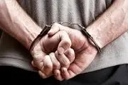  دستگیری 70 مرد و زن مست در فرحزاد 