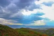 به رنگ خزان/ گزارش تصویری