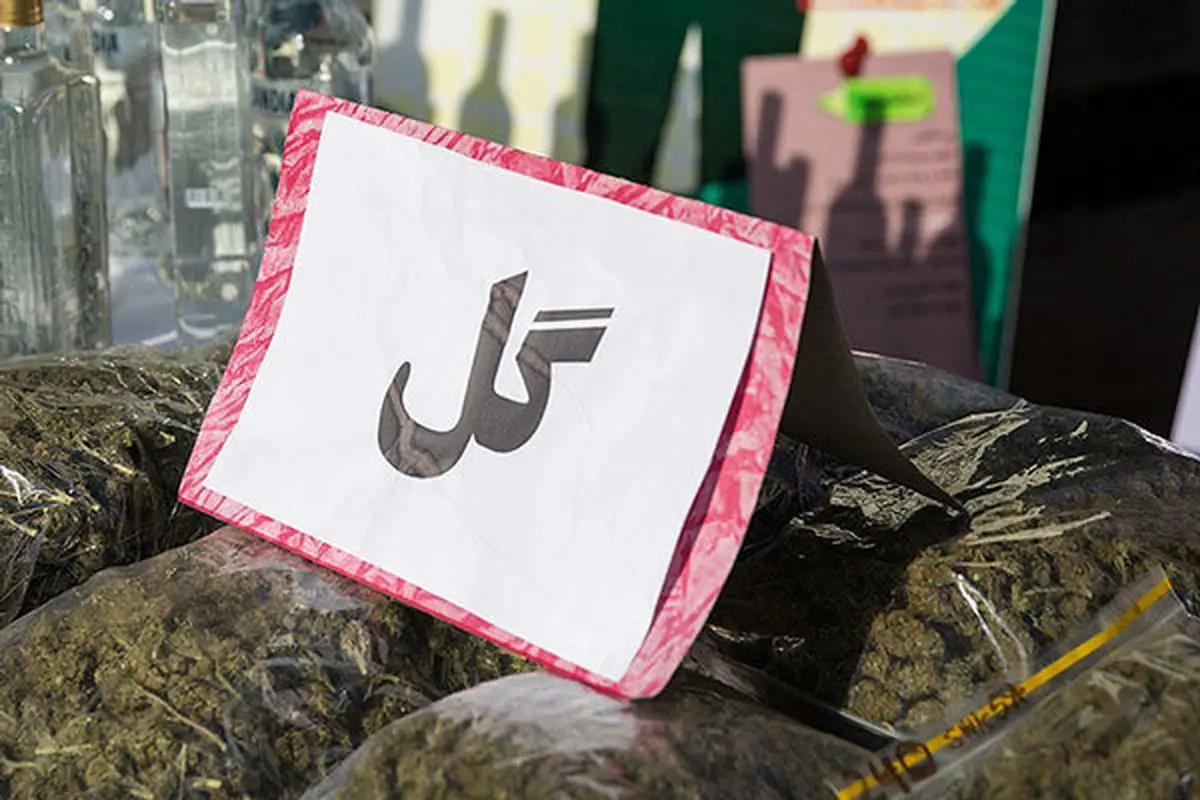 همه چیزی درباره هولناک ترین مخدر!