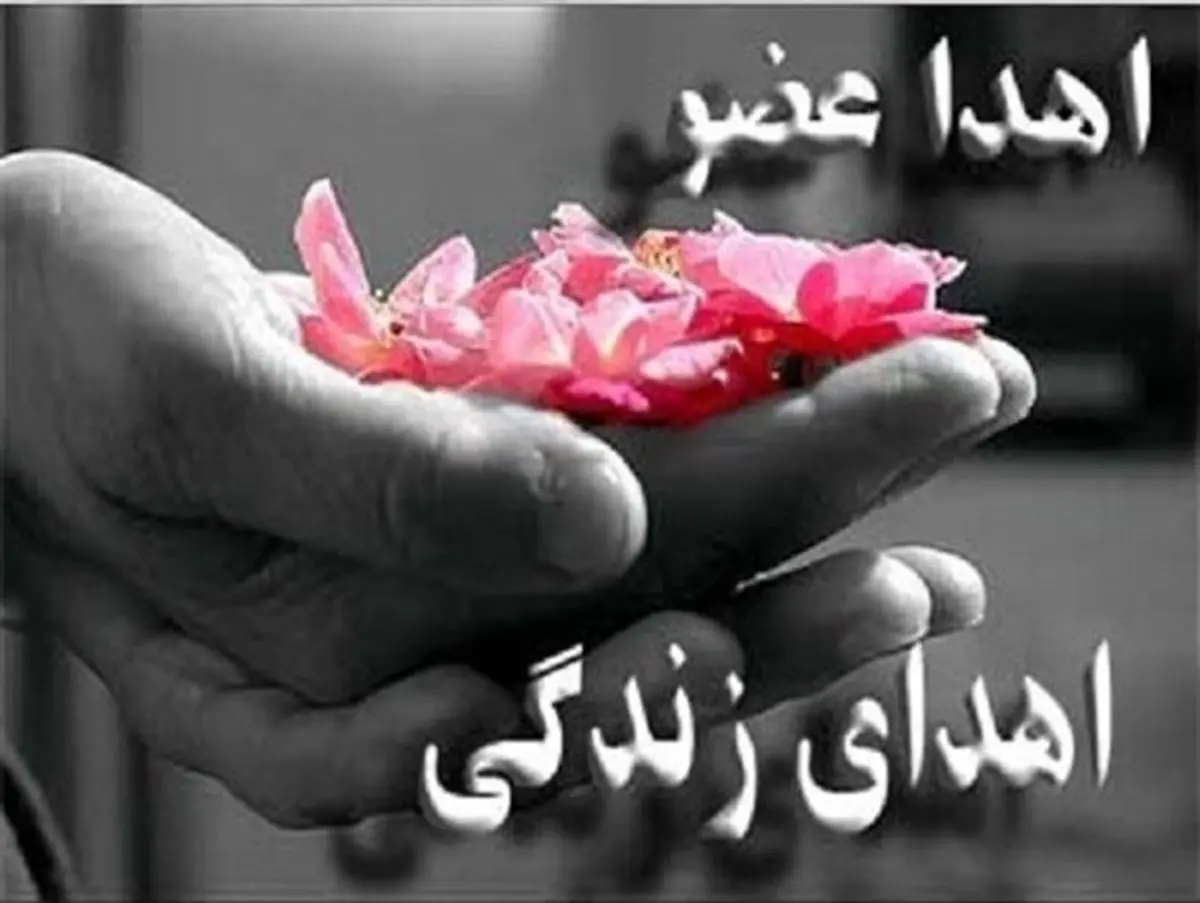 دومین اهدای عضو در قزوین جان ۴ بیمار را نجات داد
