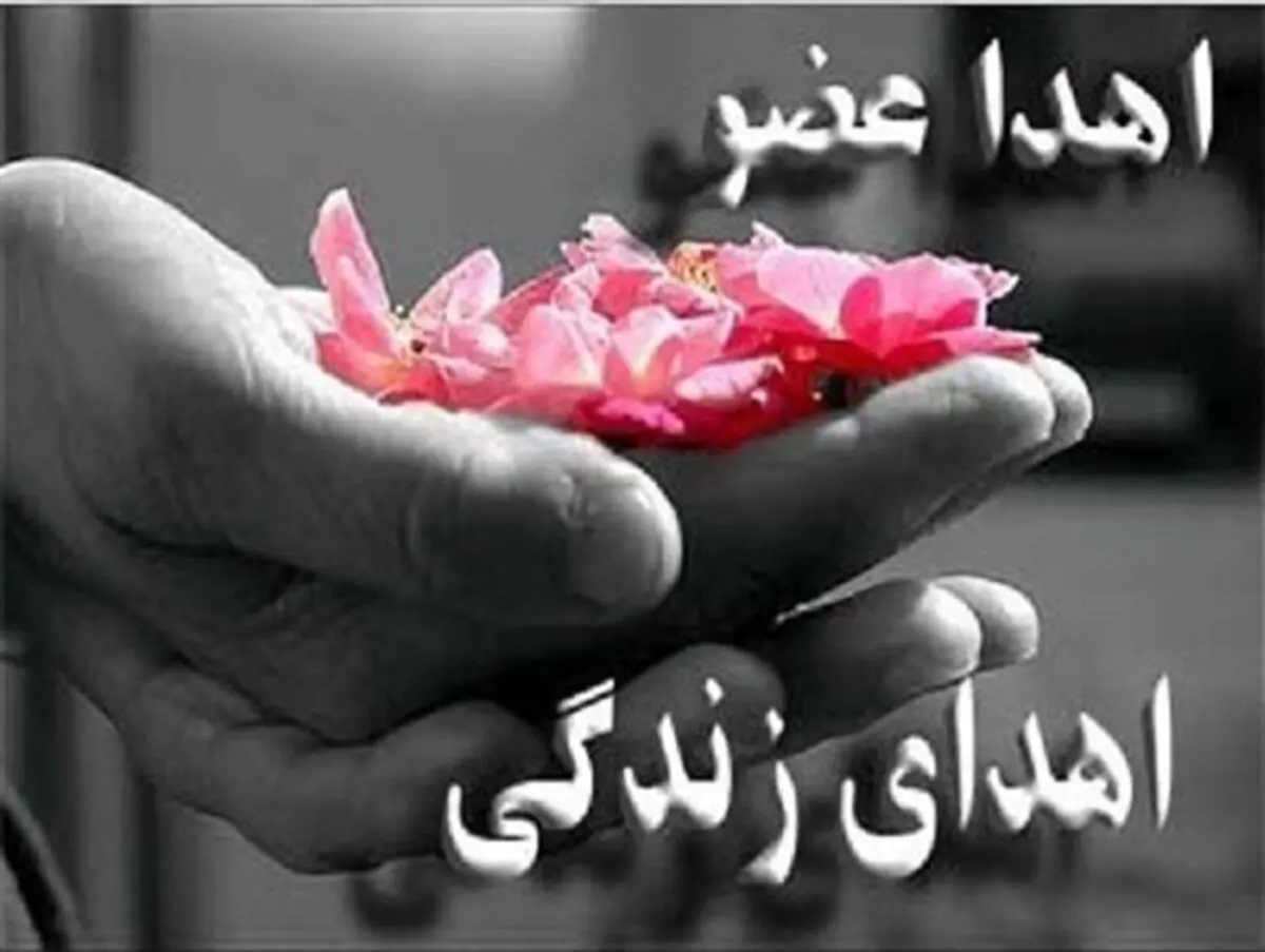 دومین اهدای عضو در قزوین جان ۴ بیمار را نجات داد