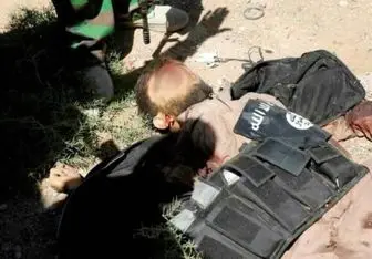 دفن ۱۲ داعشی در تونلی در تلعفر عراق