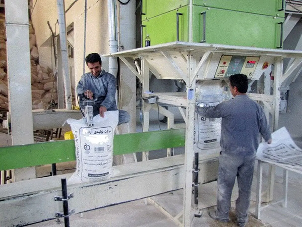 یکی از دو کارخانه تولید آرد گندم شهرستان میانه آغاز بکارکرد