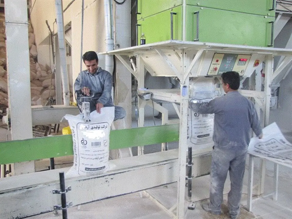 یکی از دو کارخانه تولید آرد گندم شهرستان میانه آغاز بکارکرد