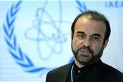 واکنش نماینده ایران در آژانس به گزارش هسته ای آمانو