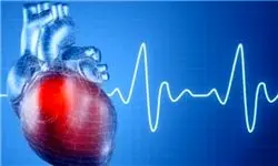 سلامت قلب با ورزش و ویتامین D