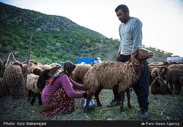 کوچ عشایر