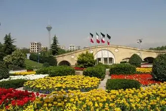 در سطح پارک های شهرچه می گذرد؟