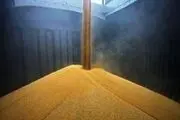 آغاز به کار یکی از بزرگترین کارخانجات تولید خوراک دام و طیور کشور در چناران