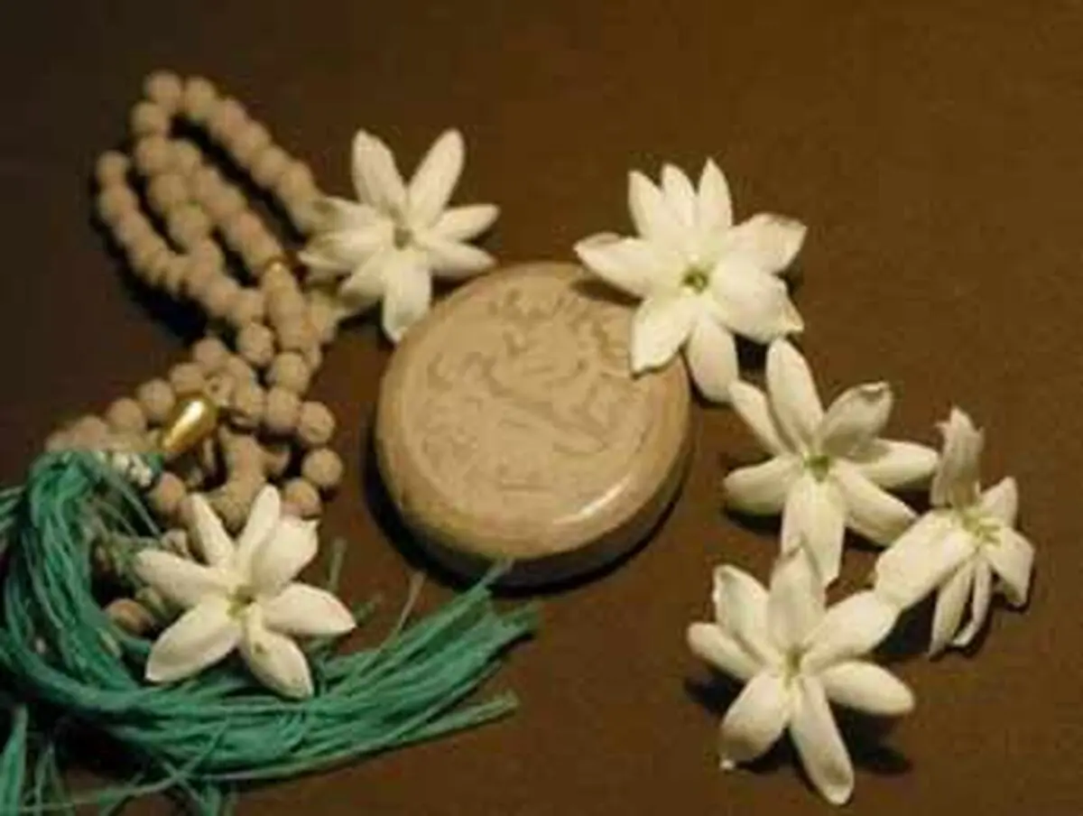 حکمت سلام نمازگزار
