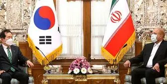 رئیس مجلس پیگیر مشکل فعالان اقتصادی ایرانی در کره جنوبی