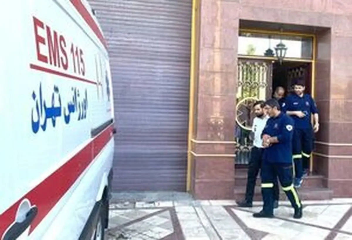184 آمبولانس ۴ بیمارستان و۳ مرکز بهداشت هدف حمله تروریست‌ها
رو