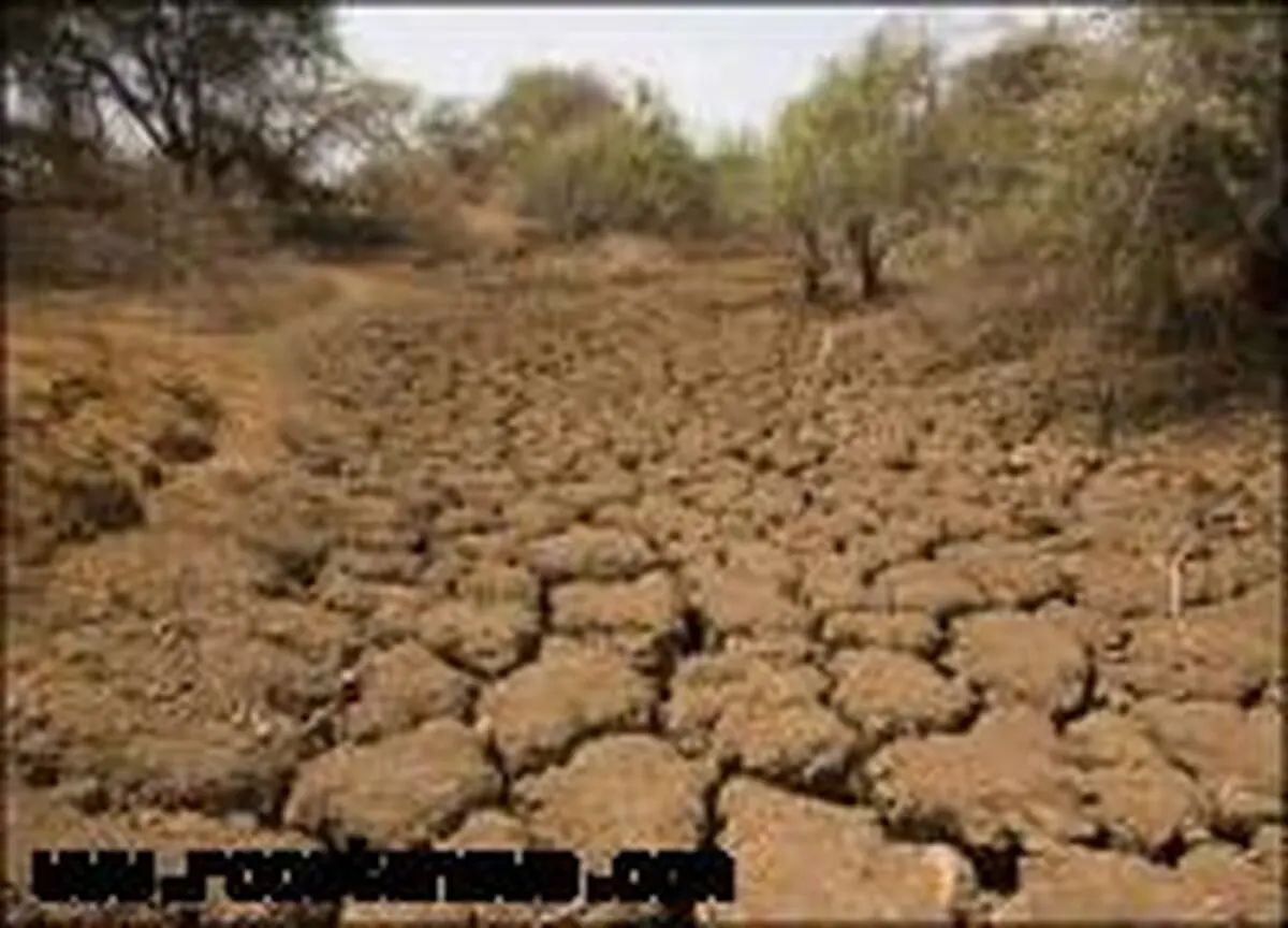 آغاز کوچ عشایر از دزفول