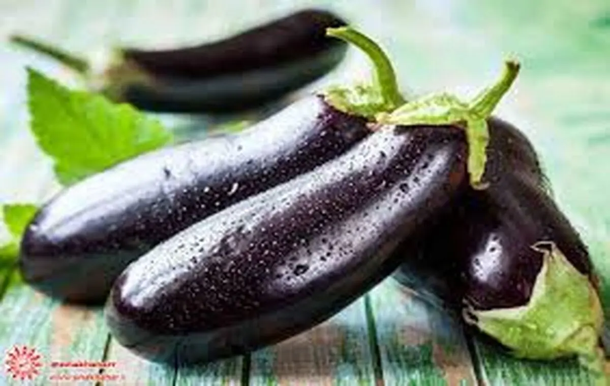 روش تشخیص بادمجان تلخ و شیرین

