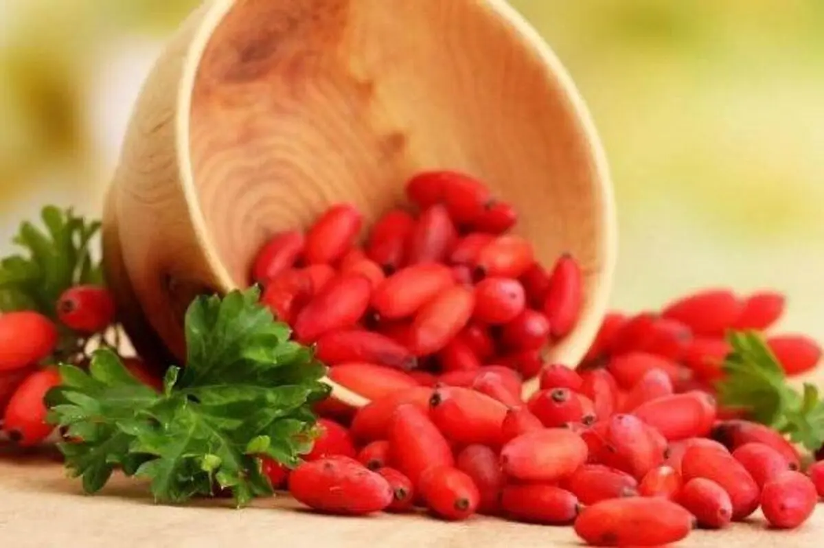 با زرشک به مقابله با سرطان ریه بروید
