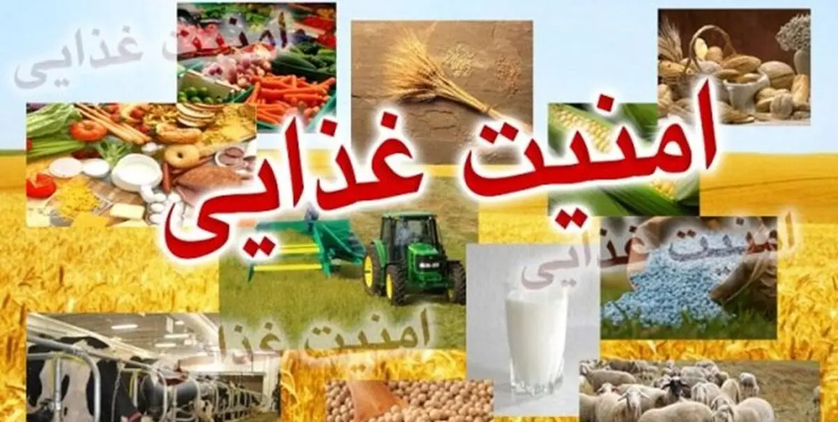 جزئیات طرح یارانه‌ای دولت برای دهک‌های یک تا پنج
