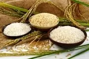 تیشه به ریشه تولیدکنندگان برنج داخلی با واردات برنج
