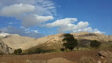 n00379268-r-b-000