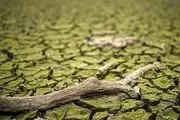  خشکسالی در این کشور
