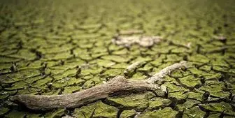  خشکسالی در این کشور