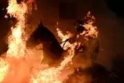 
مراسم سنتی پاکسازی اسب ها در آتش/ گزارش تصویری
