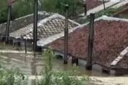 تخلیه منازل و نابودی هکتارها زمین در سیل ویرانگر کره شمالی