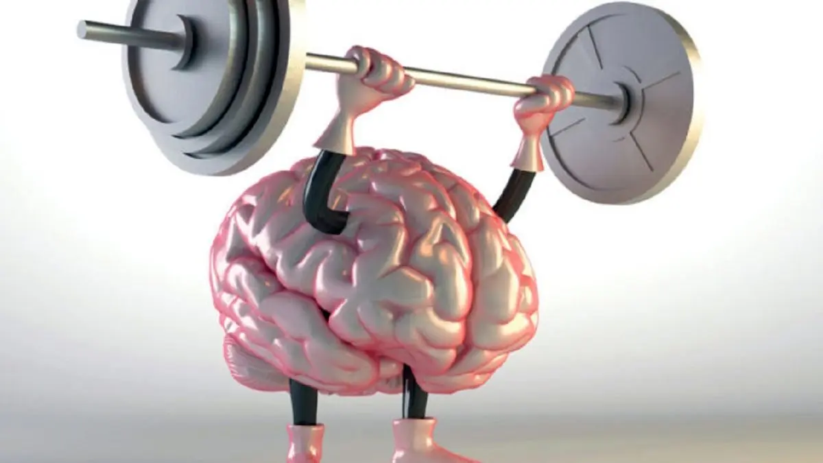 تاثیر ورزش بر روی مغز
